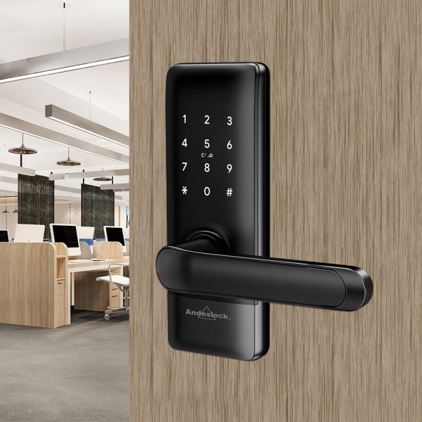 CERR.DIGITAL ANDESLOCK-PICAPORTE-TARJETA